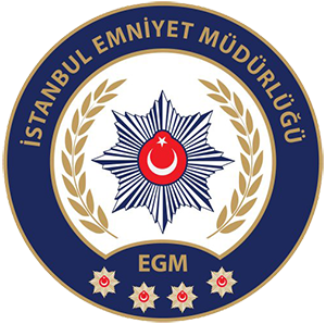 IEM Logo